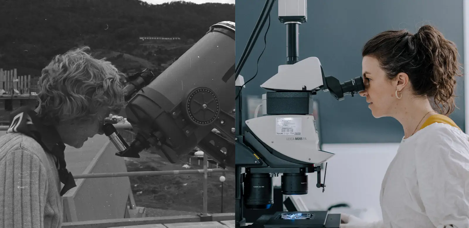 50 years of UOW
