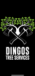  Dingos Tree Service logo