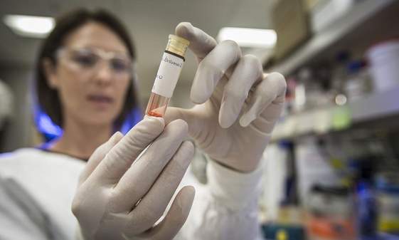 Researcher Kara Vine-Perrow in lab