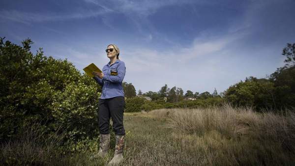 Future Of: Coastal Wetlands and Climate Chang