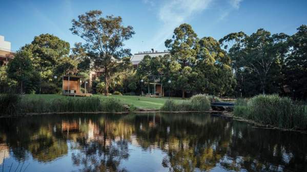 View overlooking pond UOW Campus