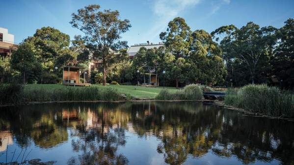 The Duck Pond in front of Building 41, with trees in the background. Photo: Aristo Risi