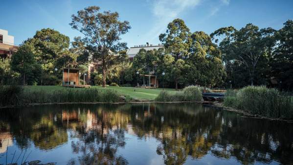 The Duck Pond in front of Building 41, with trees in the background. Photo: Aristo Risi