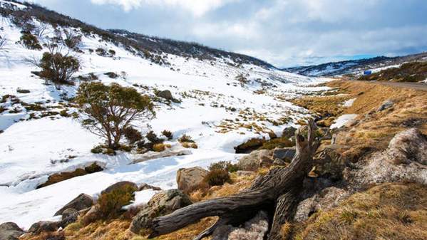 Snow capped mountain in the Australian Alps