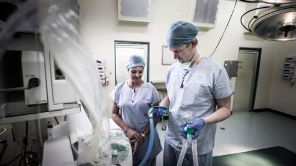 Students from the Graduate School of Medicine training during a placement at Mudgee.