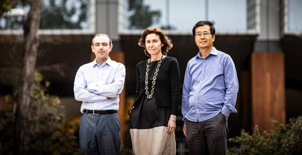 Dr Gökhan Tolun, Professor Marie Ranson, and Professor Chao Deng. Photo: Paul Jones