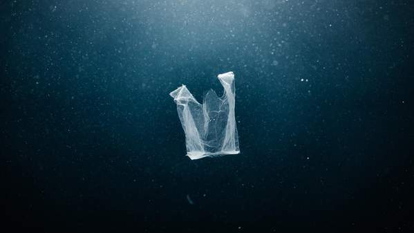 A plastic bag in the ocean. Photo: Aristo Risi