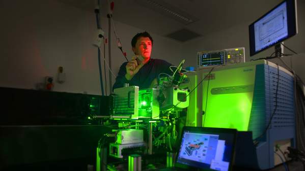 Dr Shane Ellis, School of Chemistry and Molecular Bioscience