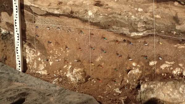 Locations of sediment DNA samples in extensively phosphatized deposits in South Chamber.