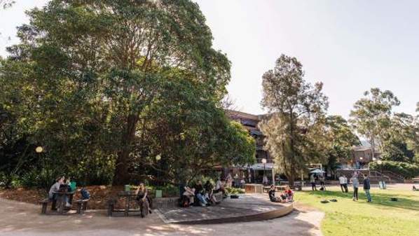 Students pictured standing and sitting outside Building 67 on campus, with lots of trees and grass in the background. Photo: Michael Gray