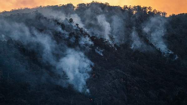 A hill of eucalypt trees smoulders after a bushfire. Photo: Unsplash