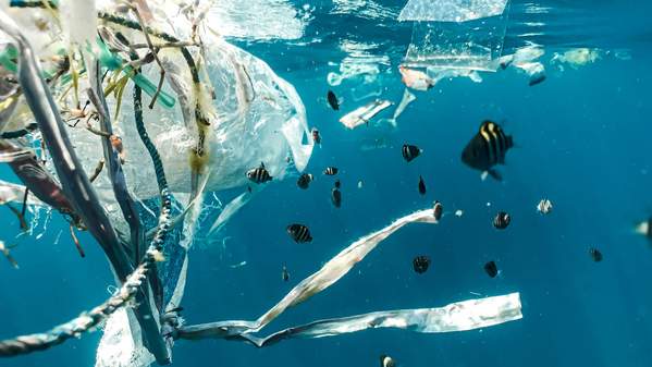 A pile of plastic floats in the ocean with a school of black and white fish in the background. Photo: Unsplash