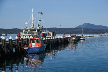 Wharf with boats, mountain in the background. Blue sky. Eden, NSW