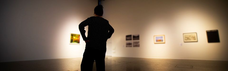 Silhouette of woman looking art artwork in UOW Gallery