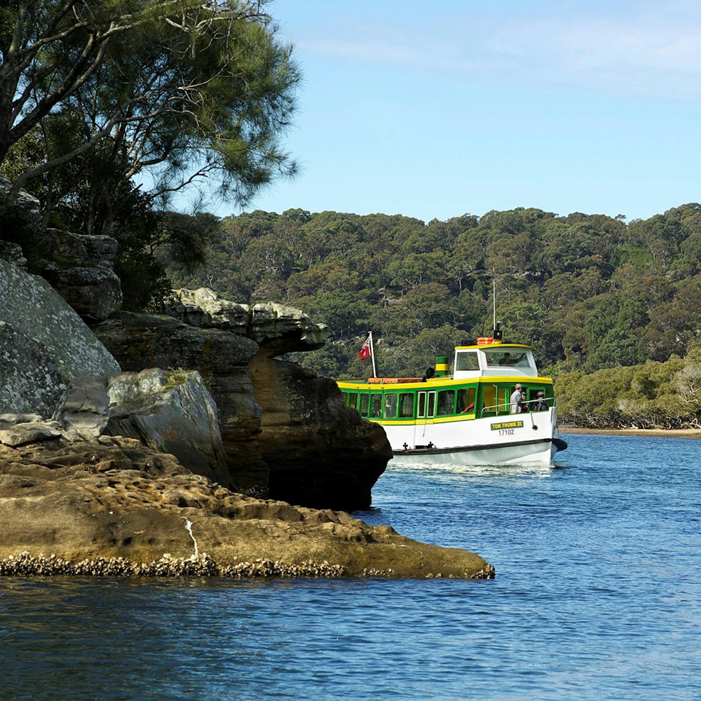 Green-and-white passenger ferry travelling along a calm river beside a rocky sandstone shoreline. Trees line the riverbank in the background, and clear blue water surrounds the vessel under a bright sky.