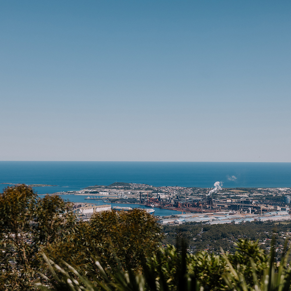 Elevated view of the Wollongong coastline and industrial harbour, seen from a hillside lookout framed by native vegetation in the foreground. Port facilities, industrial infrastructure and waterfront buildings stretch along the shoreline, with the Pacific Ocean extending to the horizon beneath a clear blue sky. Thin plumes of steam or smoke rise from industrial structures