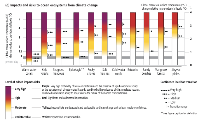 The Ocean and Cryosphere in a Changing Climate A Special Report of the Intergovernmental Panel on Climate Change showing the impacts and risks to ocean ecosystems from climate change