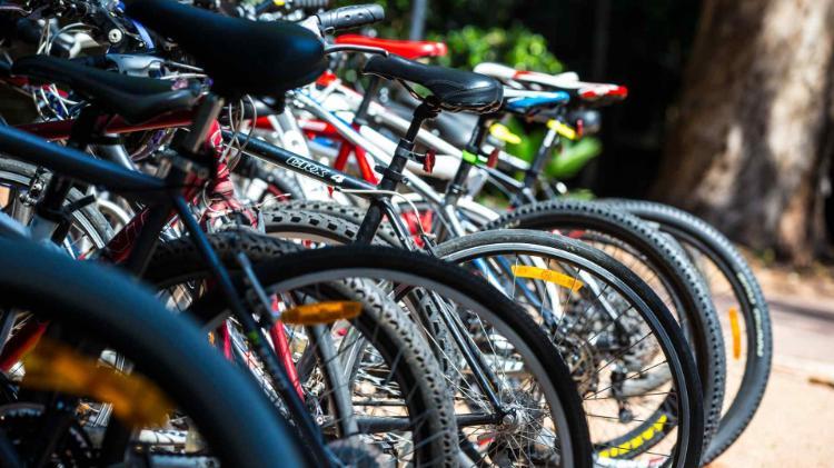 row of bikes