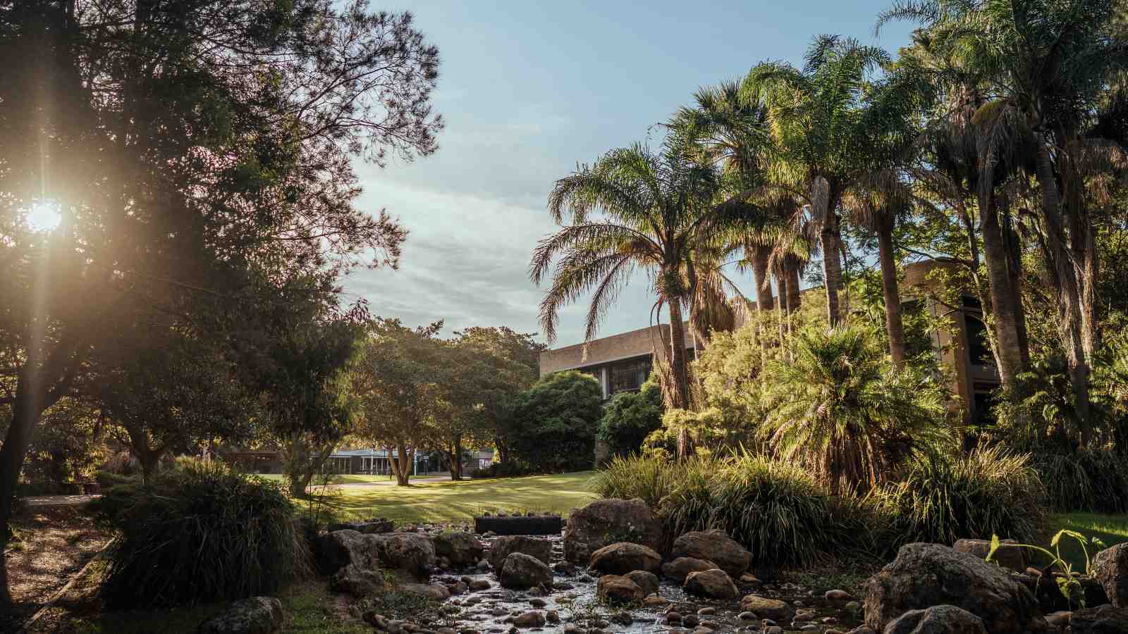 Sun sets over a creek with palm trees