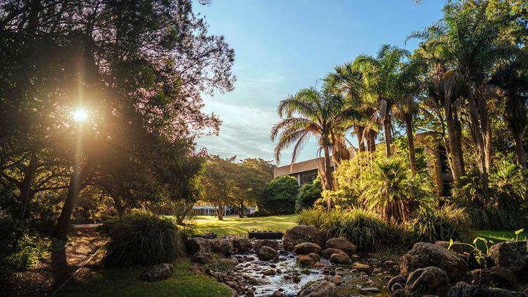 McKinnon Lawn at UOW Wollongong Campus