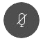 Microphone button
