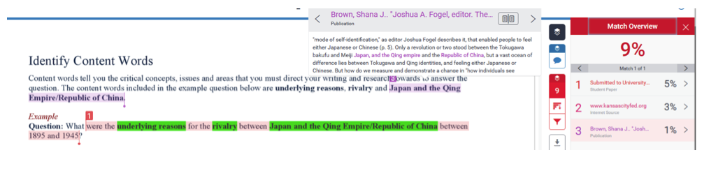 turnitin originality report