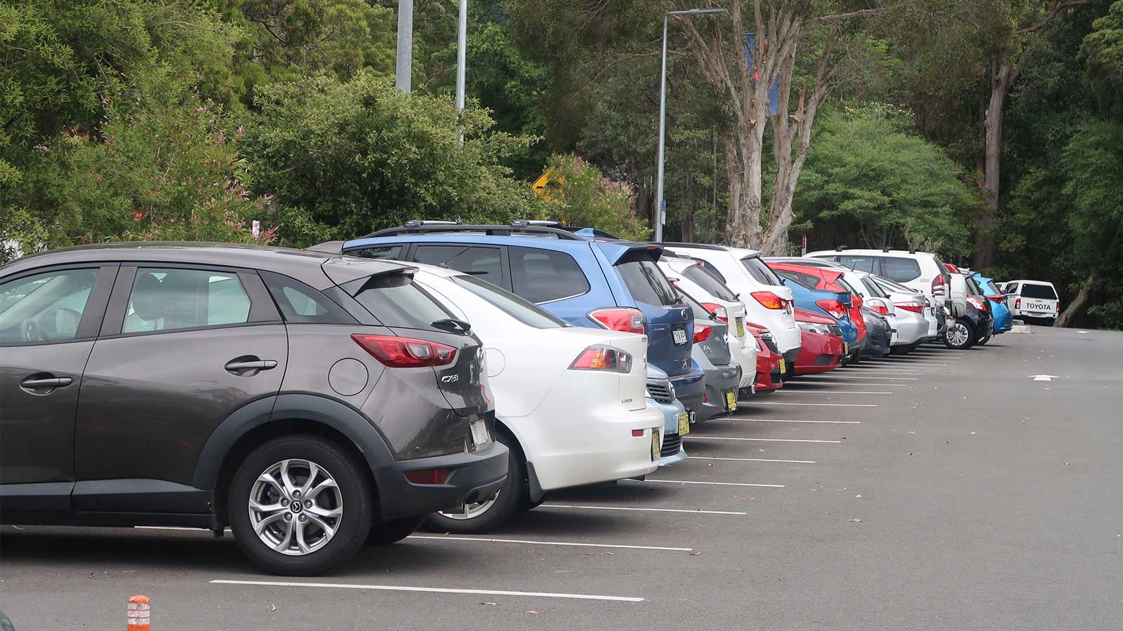Cars parked in carpark