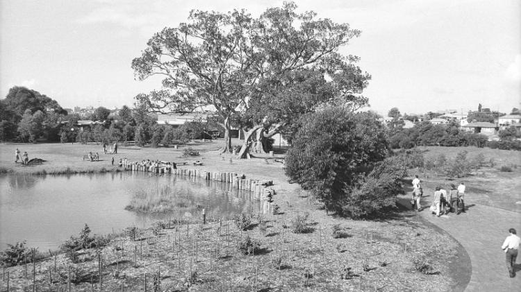 Duckpond in 1980, source https://www.flickr.com/photos/uowarchives/17328011471/in/album-72157626101771319/