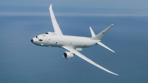 Airplane flying
