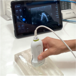 Hand holding a white ultrasound probe pressed onto a clear gel pad on a lab bench,