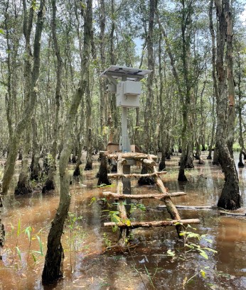 An IoT station deployed in Tram Chim National Park