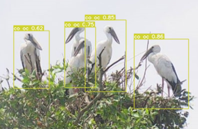 Painted picture of five long beck grey birds in green grass with yellow tags sicky up from the grass over the birds' heads.