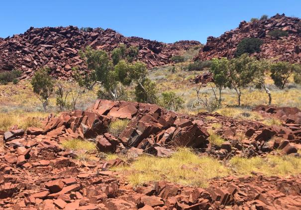 An overview of outcrops in Murujuga