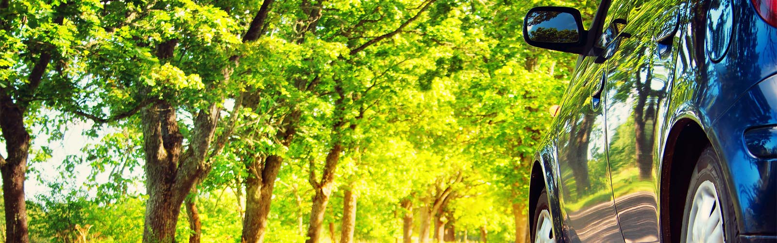 Front wheels of car with trees in background