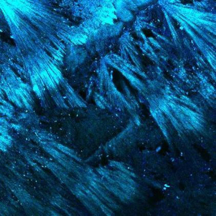 Little work has utilized confocal luminescence microscopy to examine the relationship between natural fluorescence and rainfall events. This image shows the crystalline fabric of a seasonal ‘wet’ band and its incorporation of fluorescent material