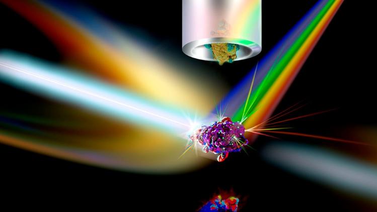 Cytometry measuring a cell