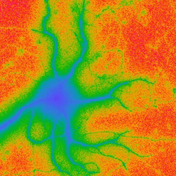 Electrochemical signals flowing through networks