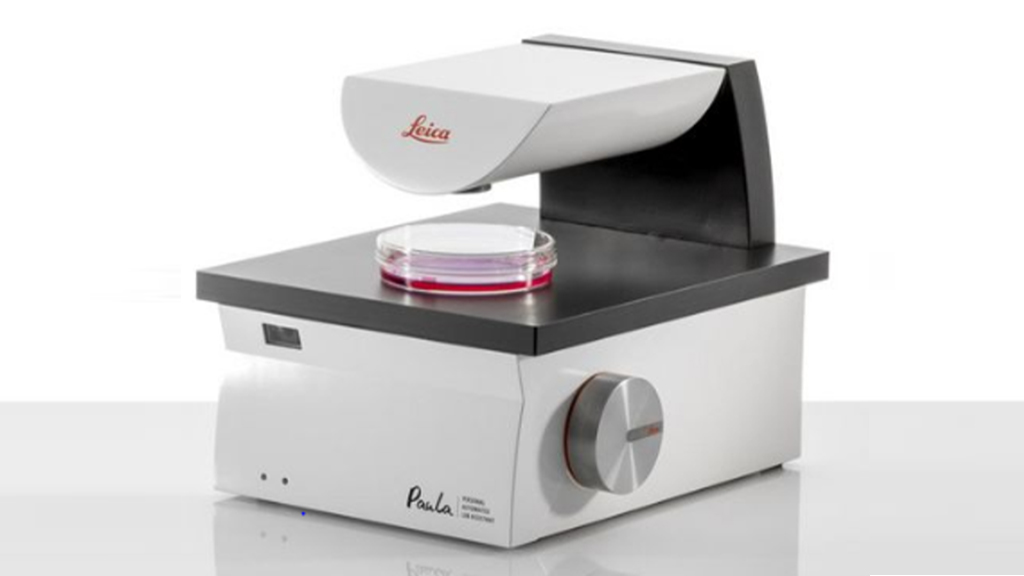 Image of instrument 'Paula'