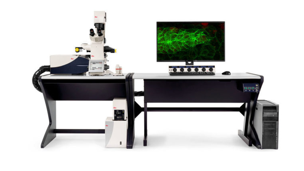 Image of instrument Confocal SP8