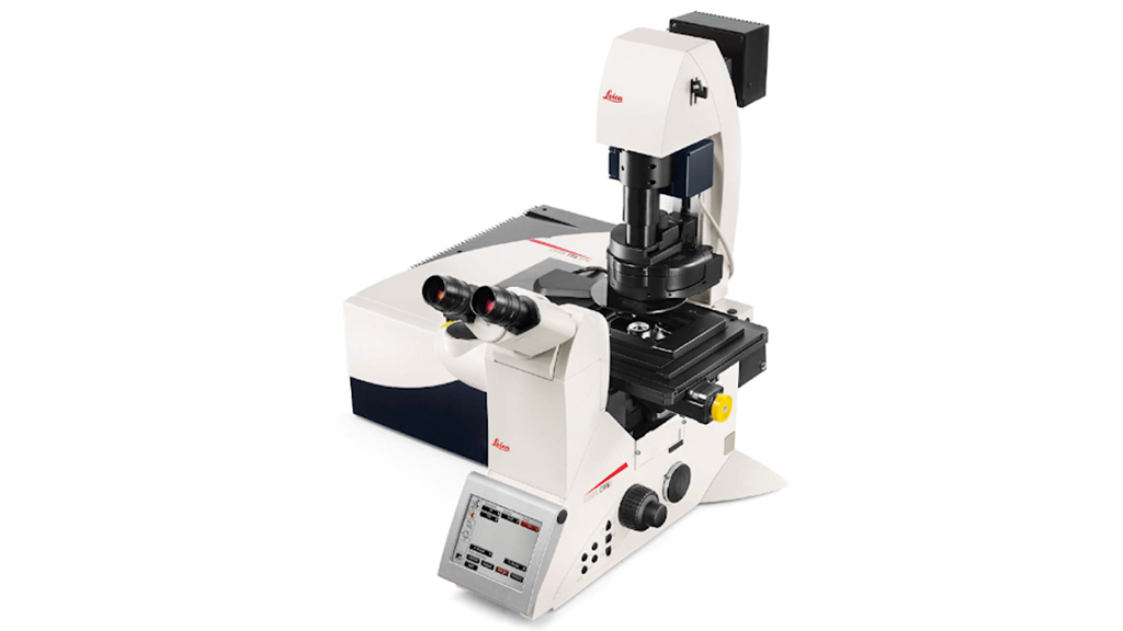 Image of microscope Confocal SP8