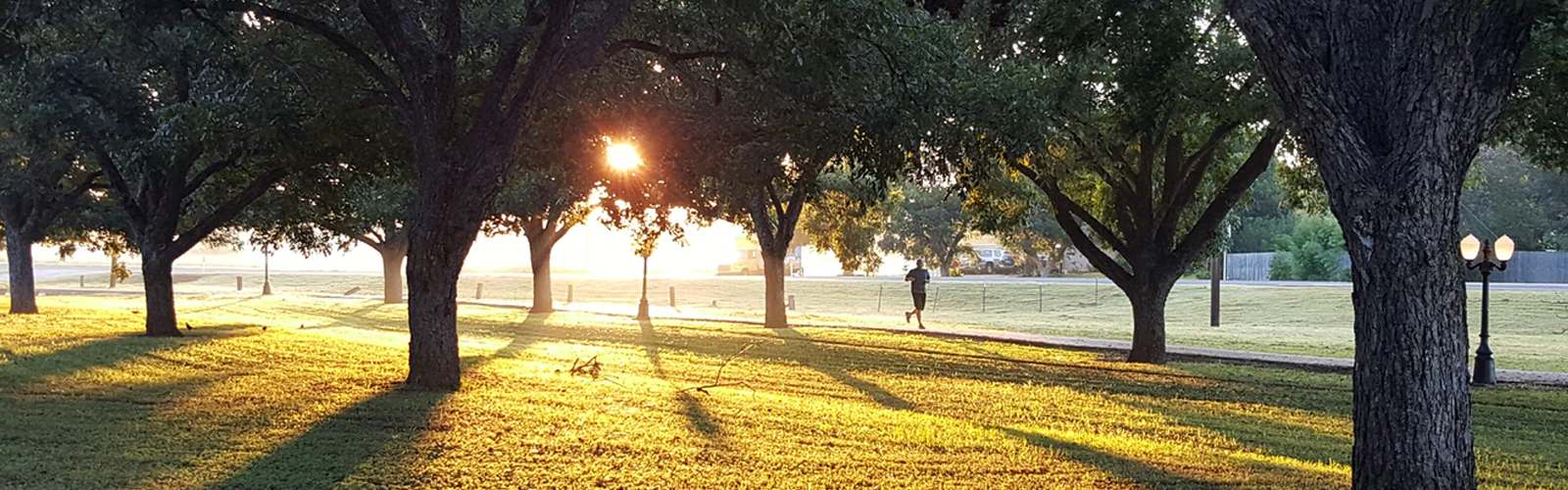 Jogger running through park alone