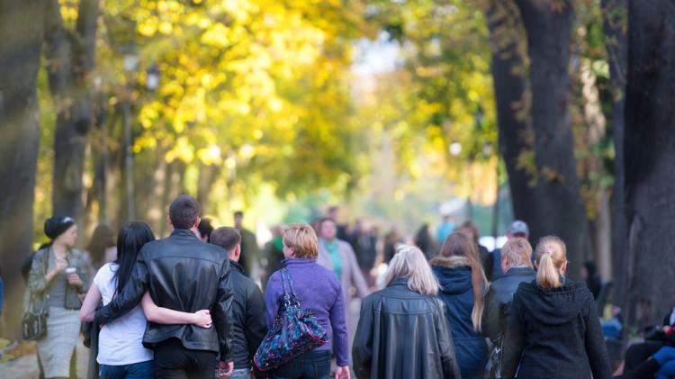 Stock image of a group of people walking in a park