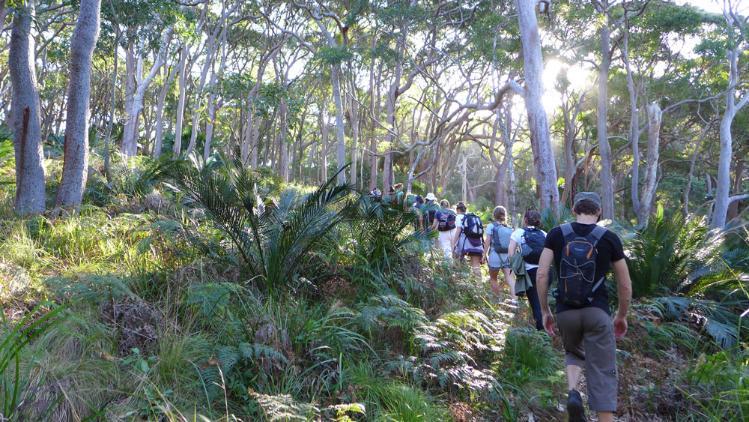 Line of students walking uphill in the bush