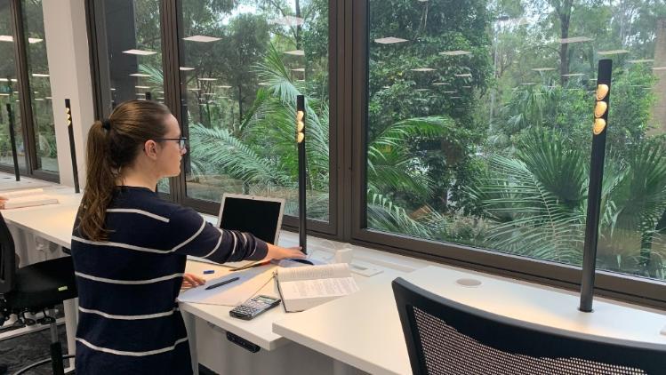 Student studying at a standing desk in the Library and switching light on