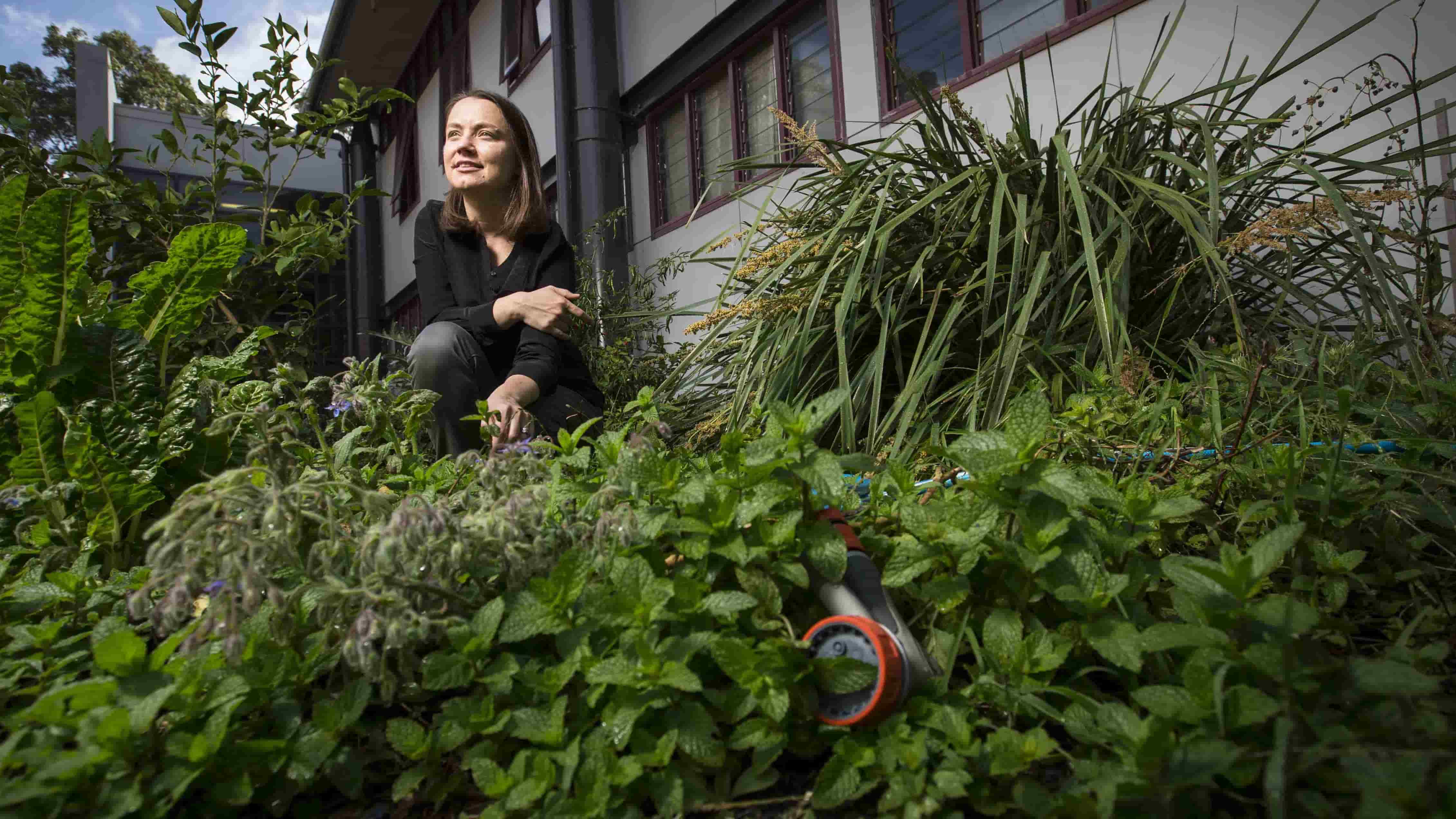 UOW human geographer Natascha Klocker tends to a garden at UOW. Photo: Paul Jones