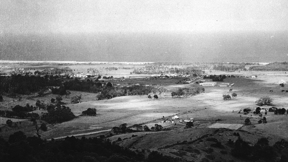 UOW campus site looking from Mt Keira north-east to Fairy Meadow c1950s