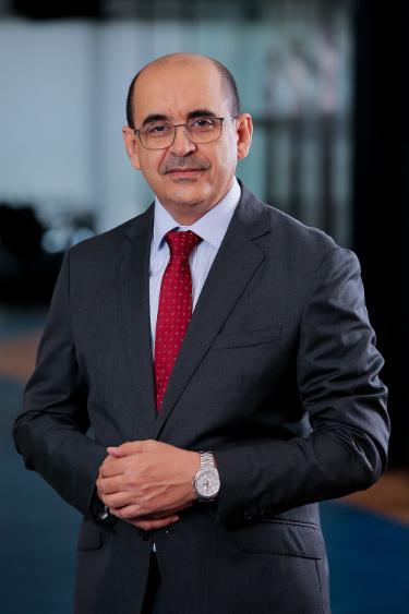Professor Mohamed-Vall M. Salem Zein