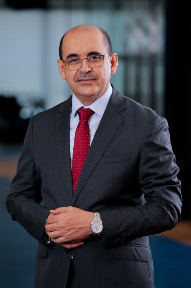 Professor Mohamed-Vall M. Salem Zein