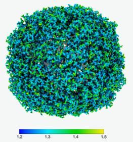 An Apoferritin reconstruction at 1.9 Angstrom resolution collected on our Titan Krios using our Gatan K2 detector.