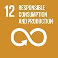 GCP SDG Goal 12